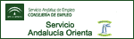 Servicio Andaluc&iacute;a Orienta. Servicio Andaluz de Empleo. Tecla de Acceso = 'h'
