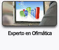 Experto en Ofim&aacute;tica. Tecla de Acceso = 'u'