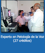 Experto en Patolog&iacute;a de la Voz (27 cr&eacute;ditos). Tecla de Acceso = 'j'