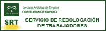 Servicio de Recolocaci&oacute;n de Trabajadores. Servicio Andaluz de Empleo. Tecla de Acceso = 'g'