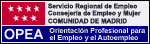 Orientaci&oacute;n Propesional para el Empleo y el Autoempleo